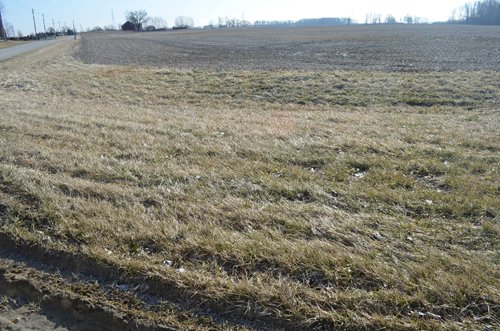 Property photo 40 - East Allen County - 55 Acre Land Auction
